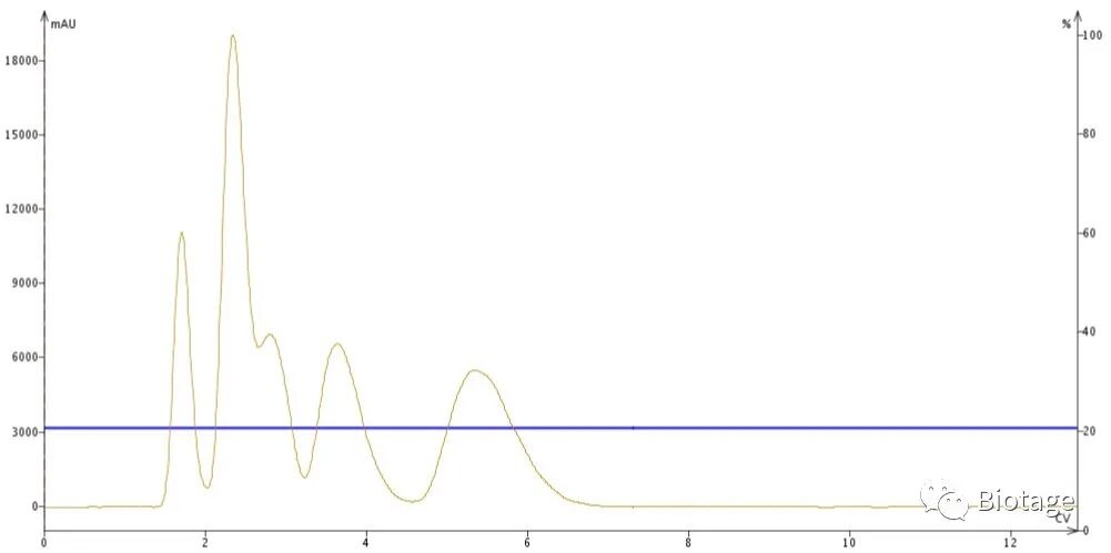 梯度洗脱 VS 等度洗脱？