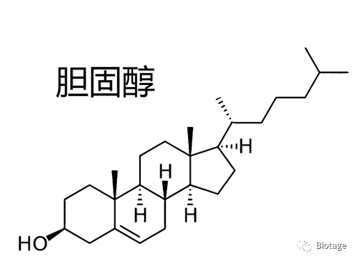 Flash纯化时，什么时候需要使用ELSD（蒸发光散射检测器）